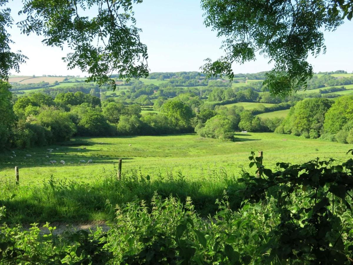 Horseshoe Barn Axminster Luaran gambar