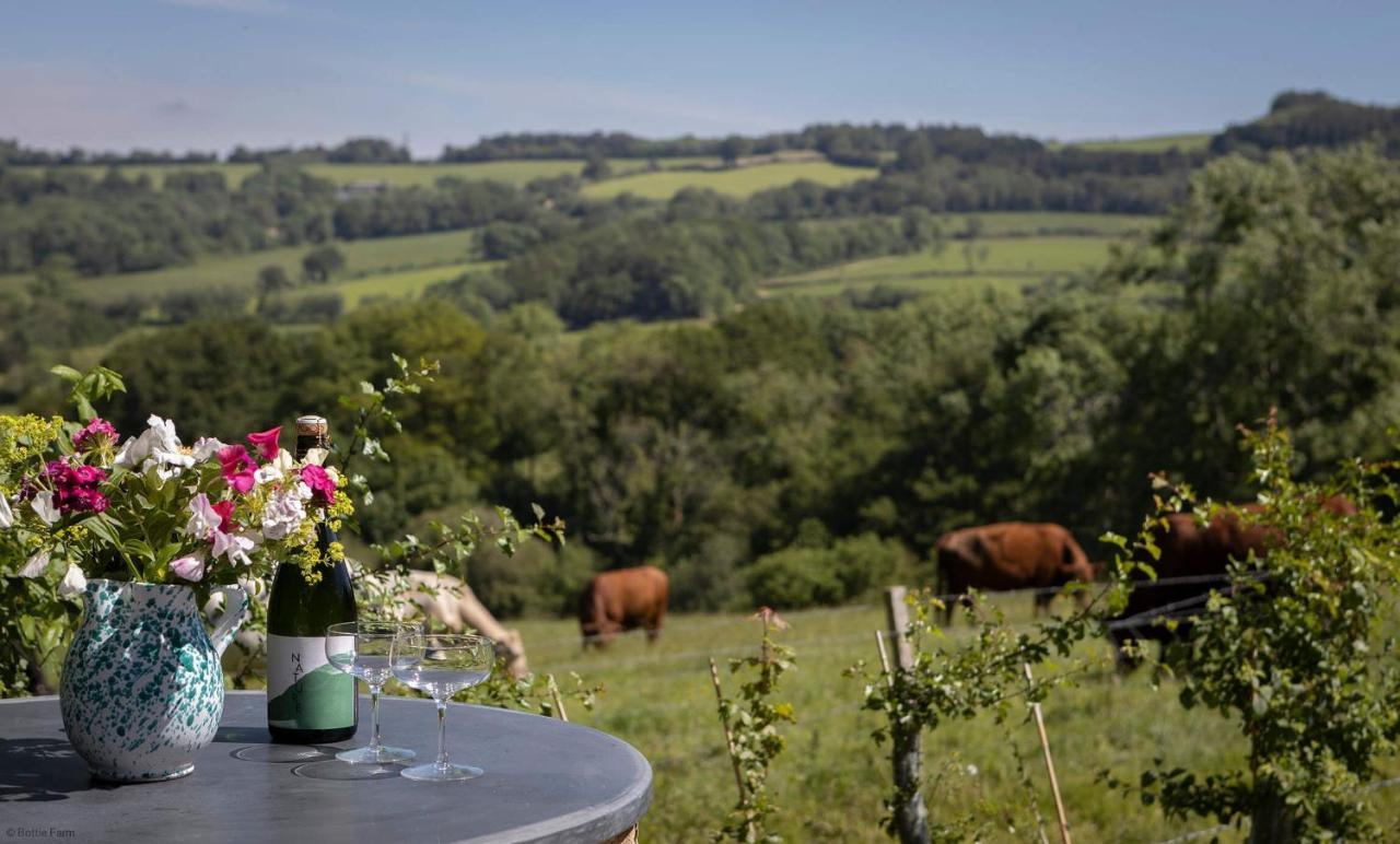 Horseshoe Barn Axminster Luaran gambar